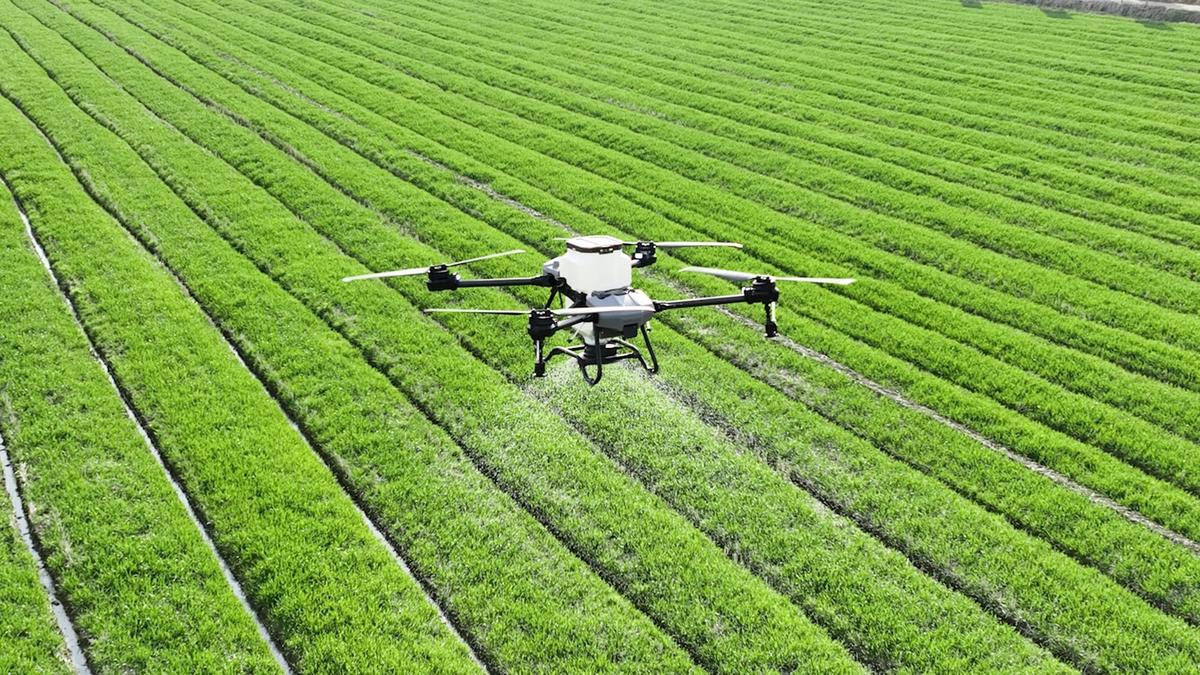 Agricultural drone spraying crops over green field rows